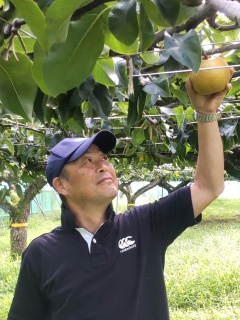 神奈川県平塚 斉藤農園 幸水・豊水梨