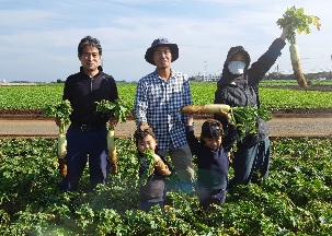 神奈川県産 小杉農園 大根