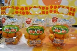 キンカンたまたま
