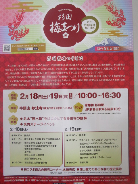 杉田梅祭り開催