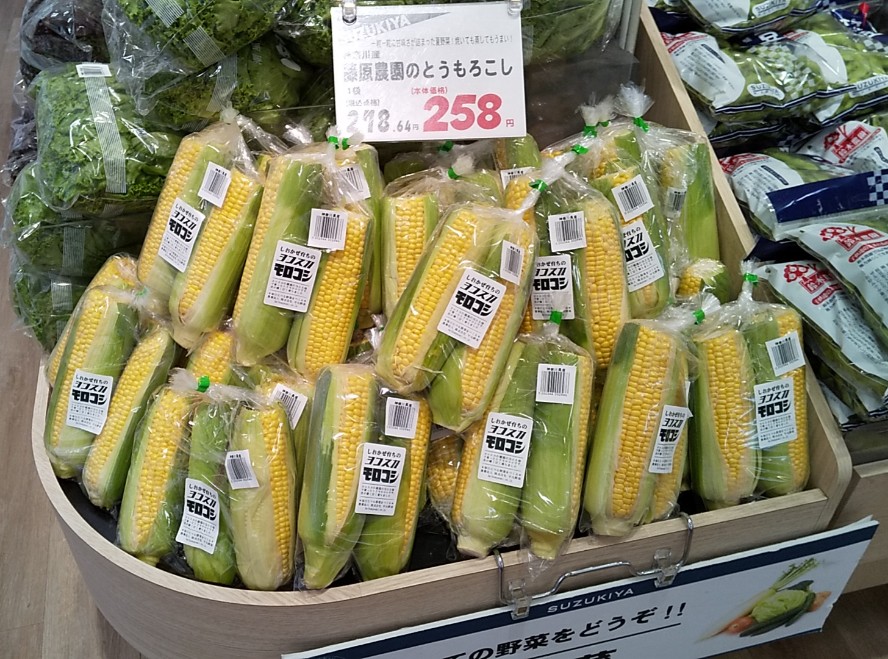 藤原さんのとうもろこし入荷しました!