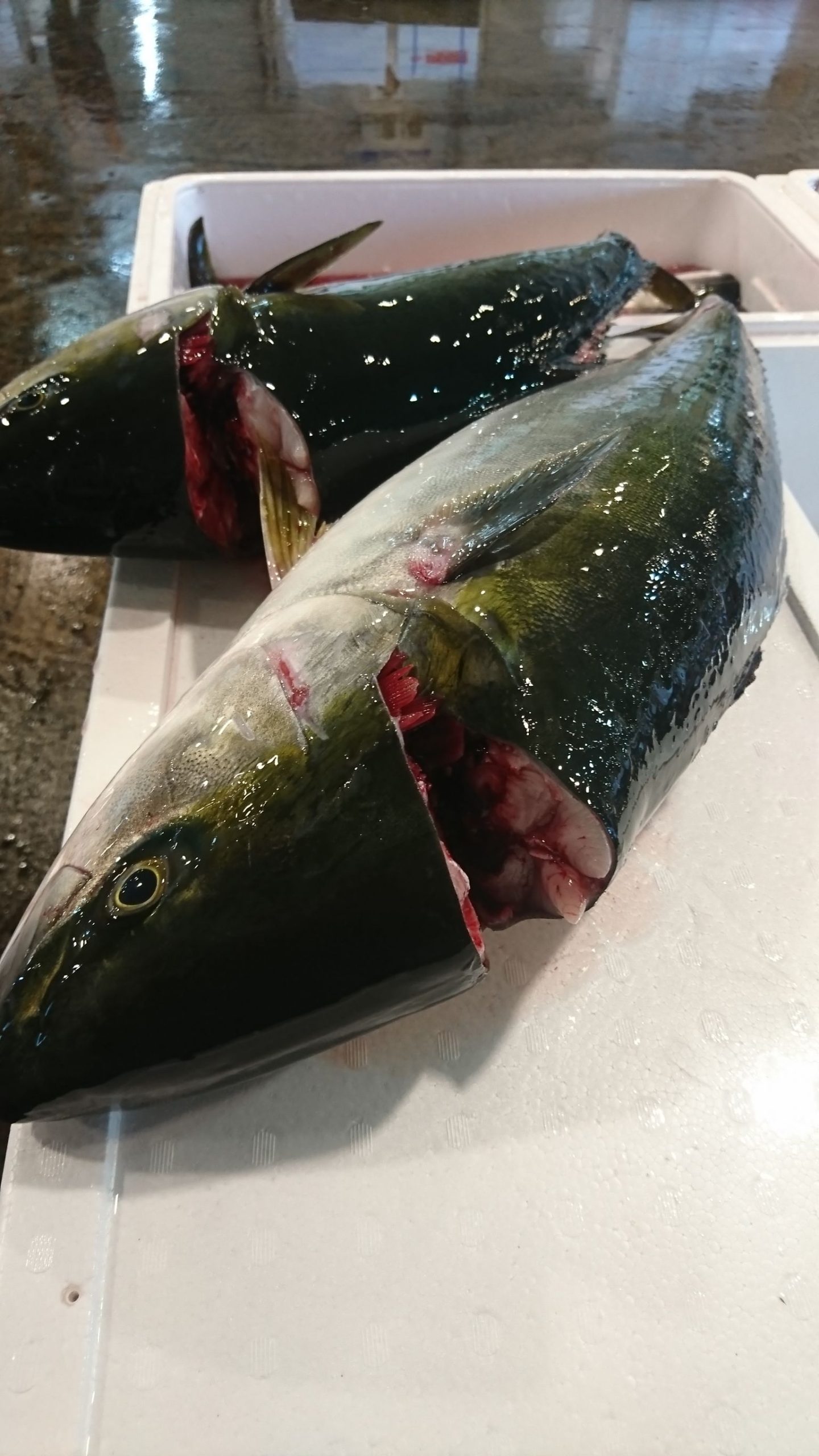 冬の味覚 寒ぶりが今、旨い!!
