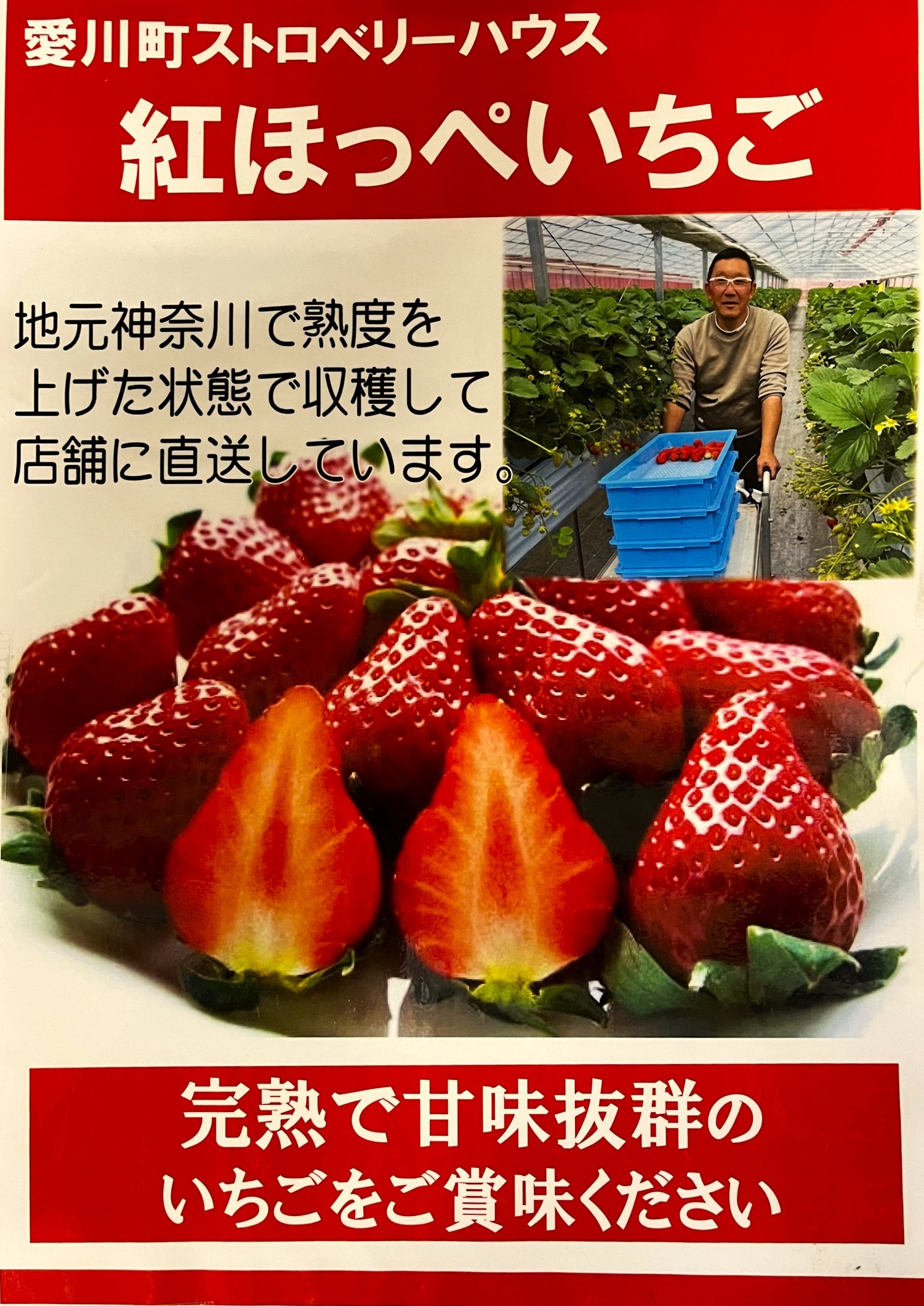 神奈川県愛川町のストロベリーハウス