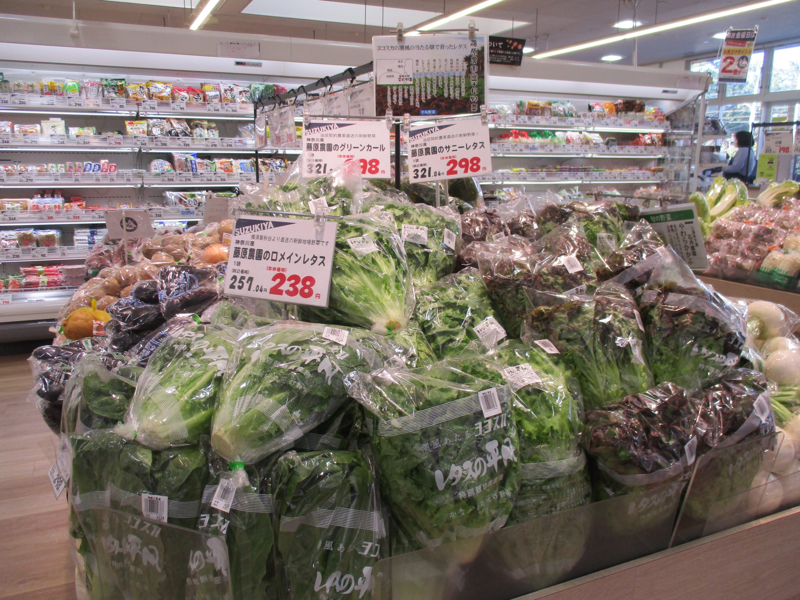 朝採れ直送のレタスが入荷!