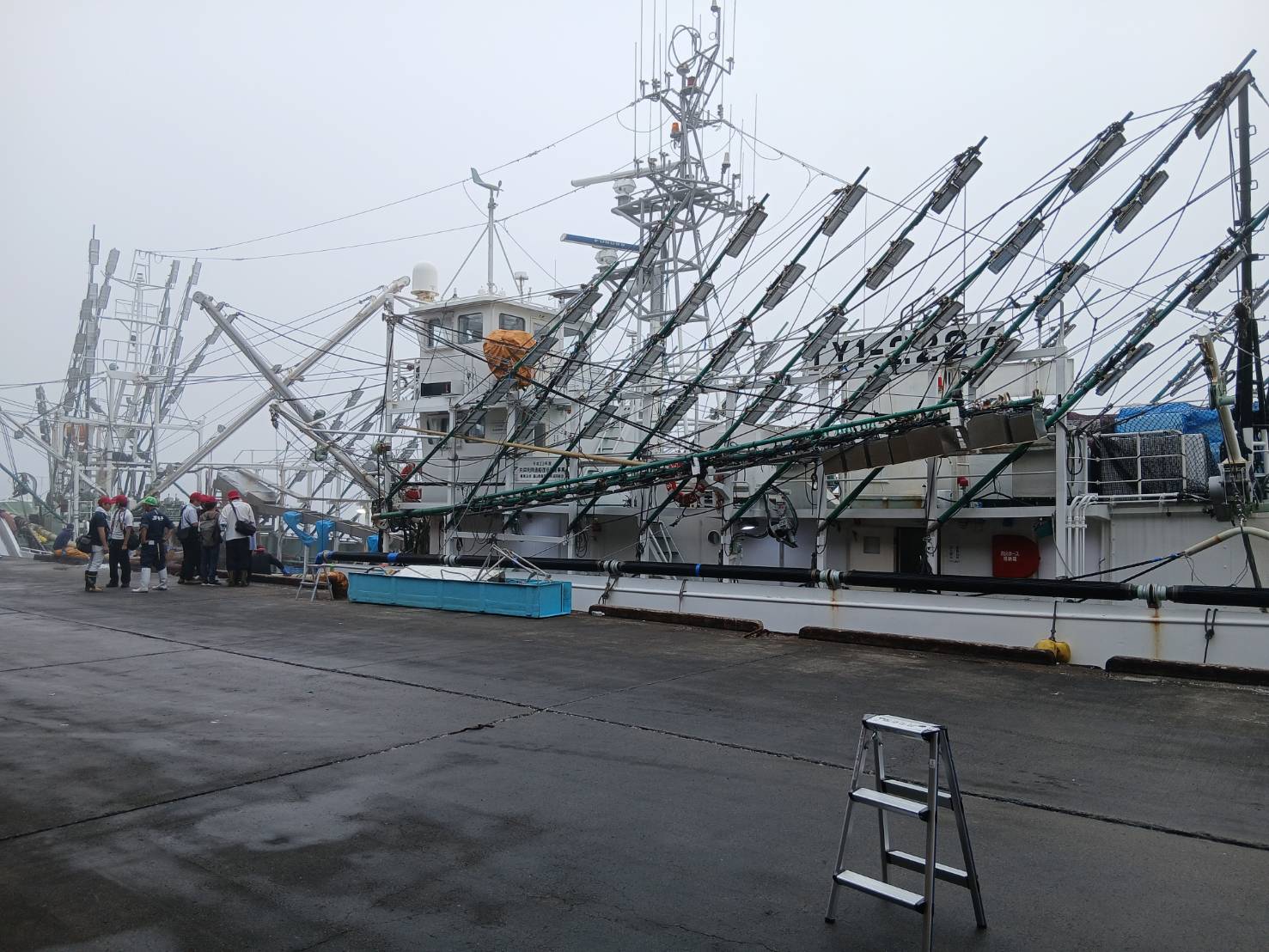 今年の秋刀魚は最高です!!