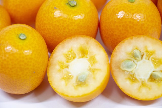 キンカンたまたま