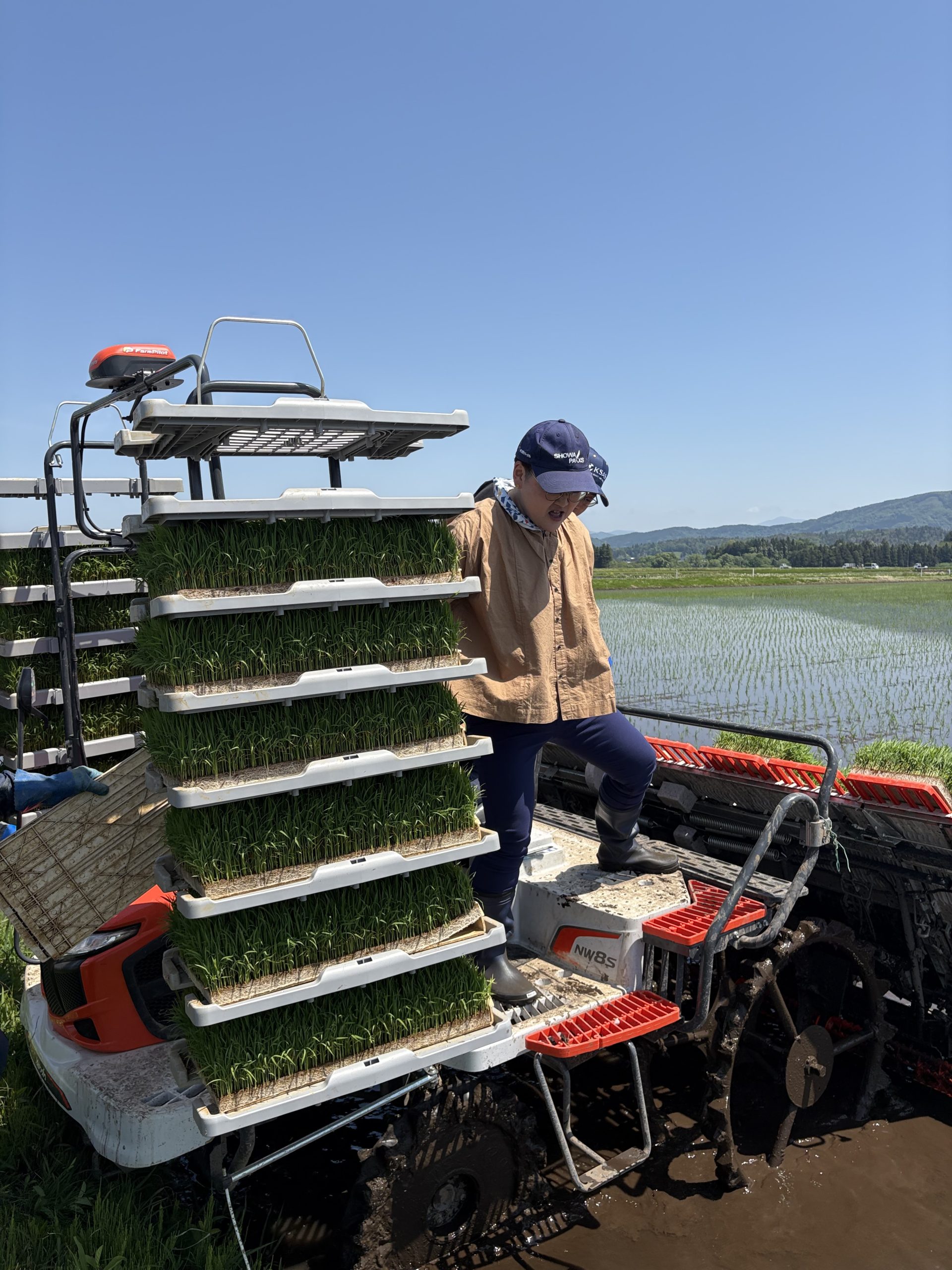 岩手県で田植えをして参りました