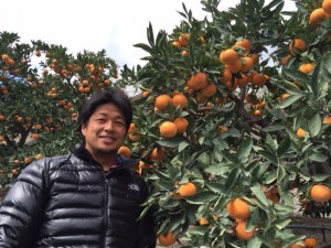三孝農園みかん